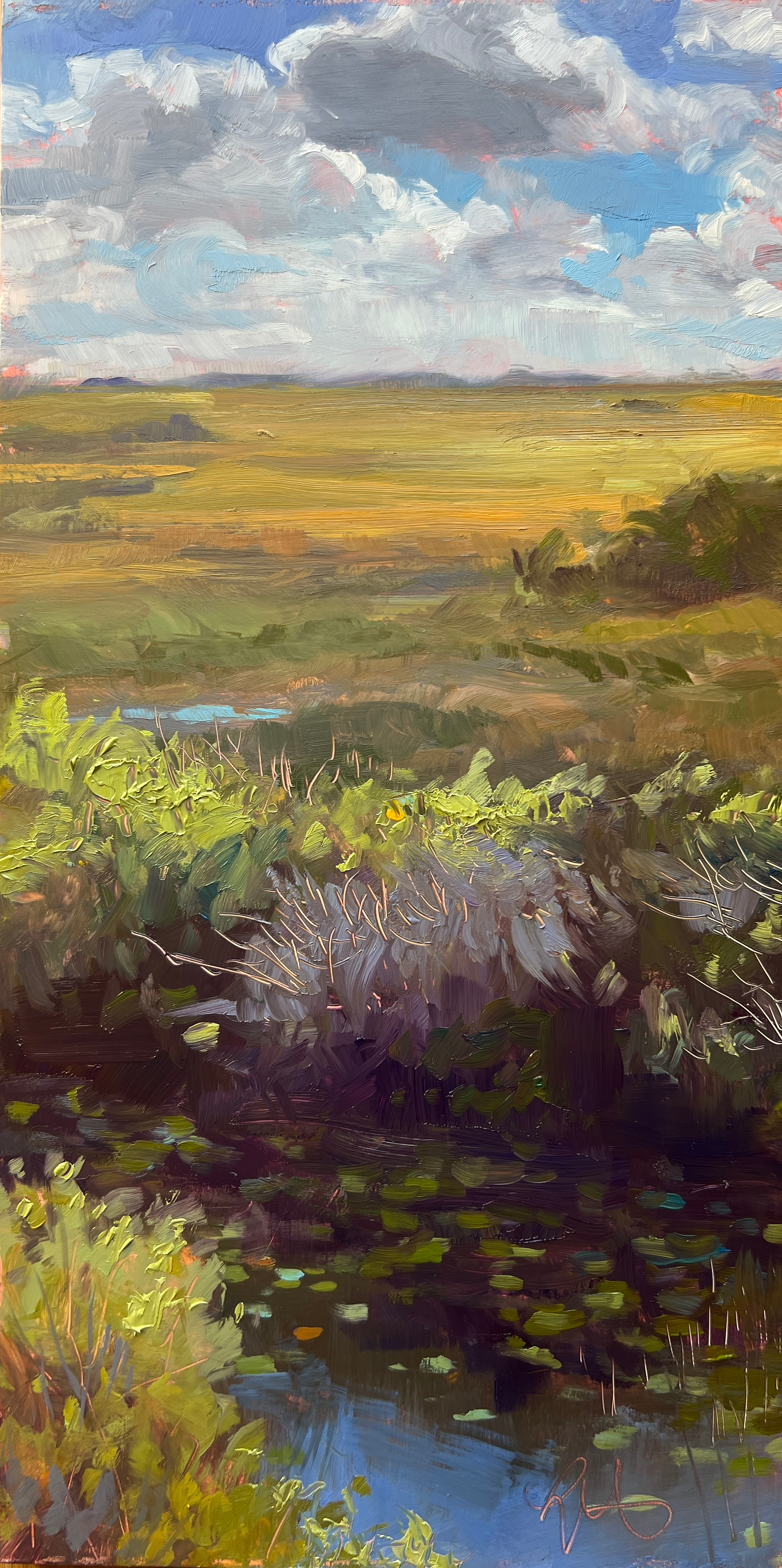 Observations, 2025
12 x 6 in. Oil on Panel
Painted En Plein Air
Shark Valley Observation Tower, Everglades National Park
$360